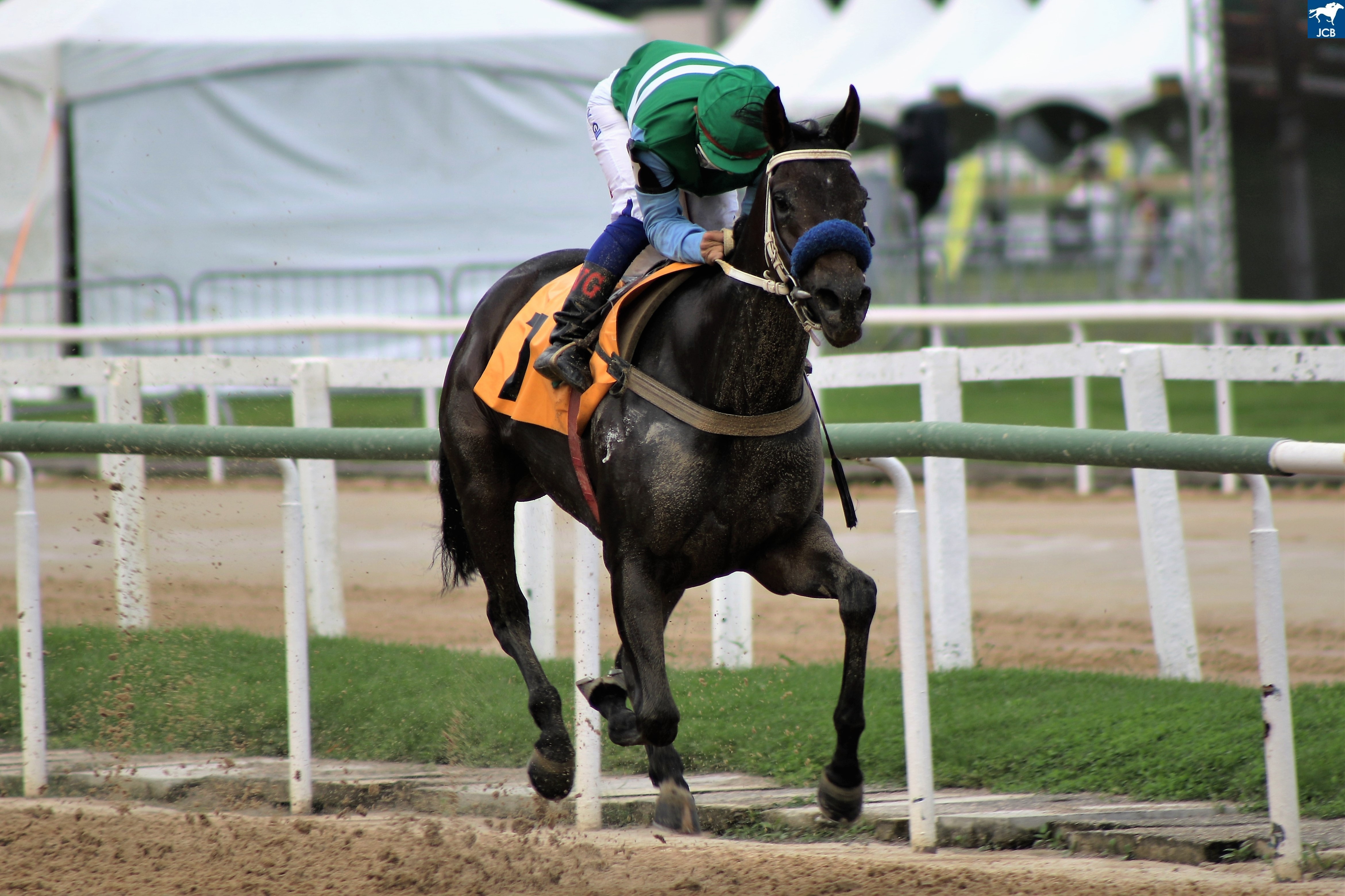 Image00011