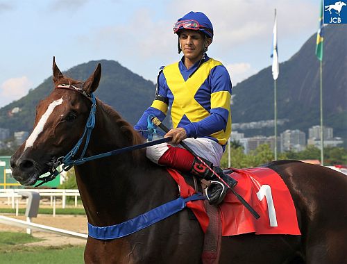 Kingvicpost