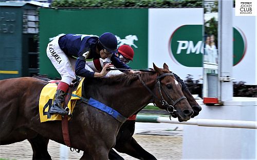 Doctor Kentucky
