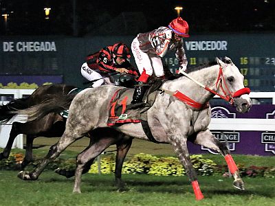 Energia Guest 11