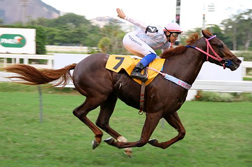 Farroupilha Boy post7