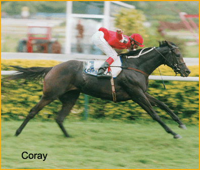 Coray