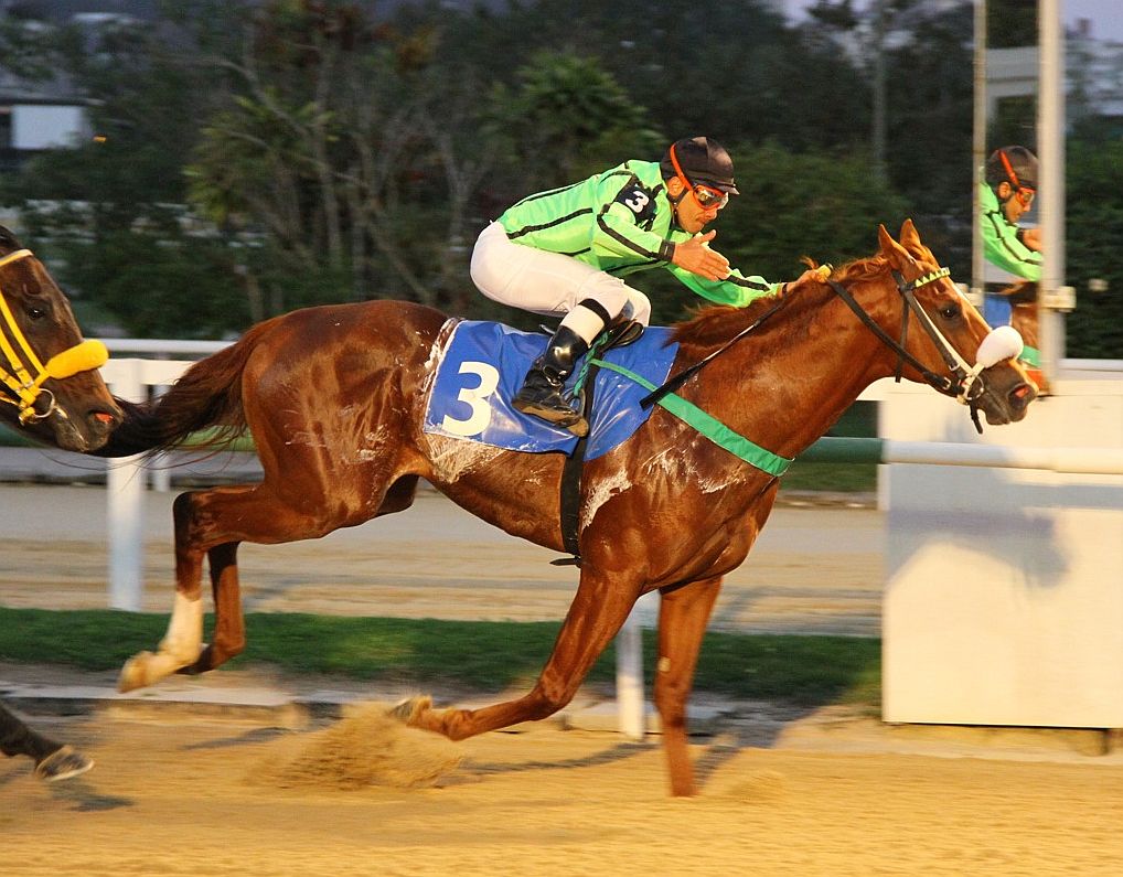 Silver Prize Chegada