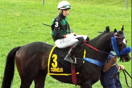Cornelio