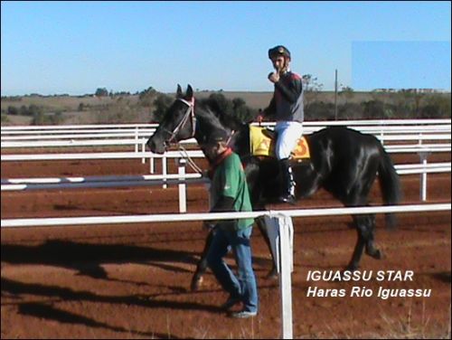 Iguassu Star