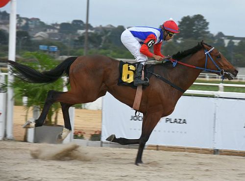 Ponsardinpost