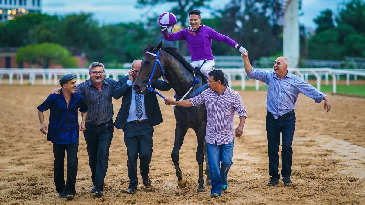 Ilustre Senador Â© {year}