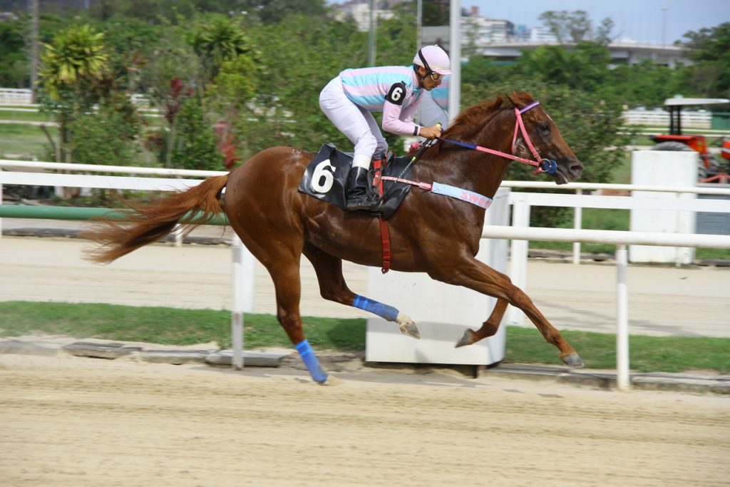 Espiritus Chegada 3