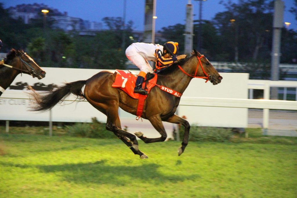 Lady Couke Chegada 3