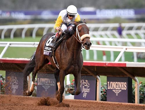 Unbridled