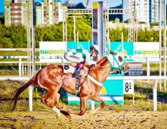 Public Job obteve novo êxito em Porto Alegre