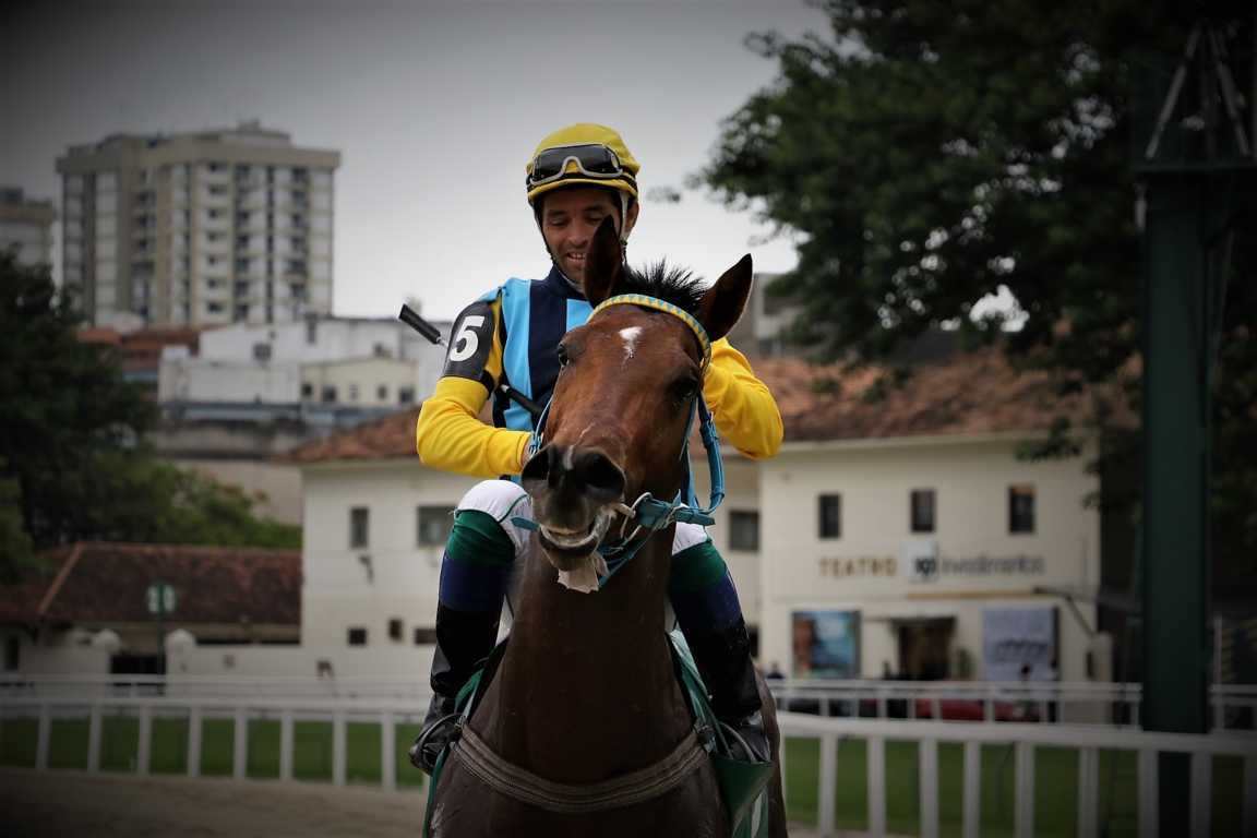 samba (6)
