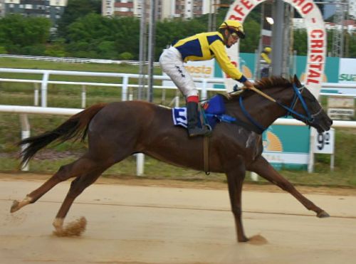 Feiticeira Kowboy