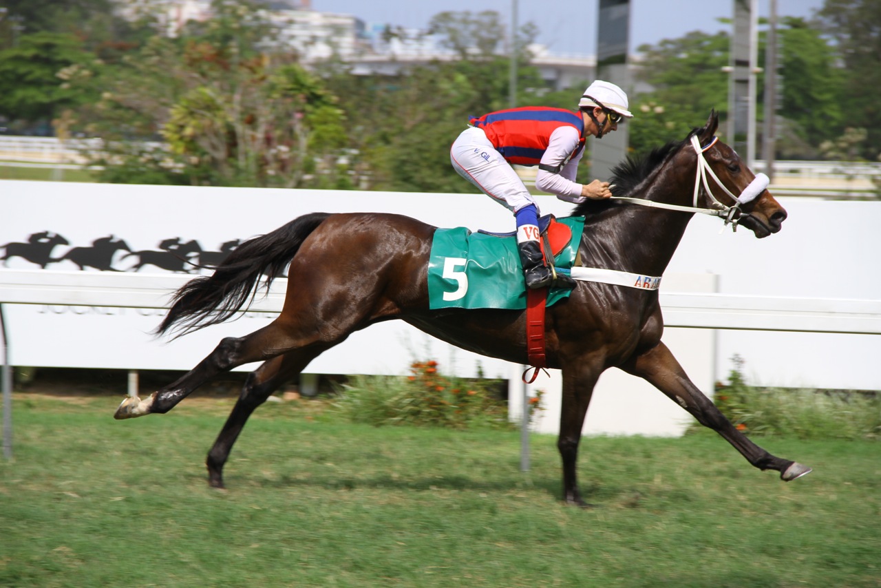 Frutada Chegada 3