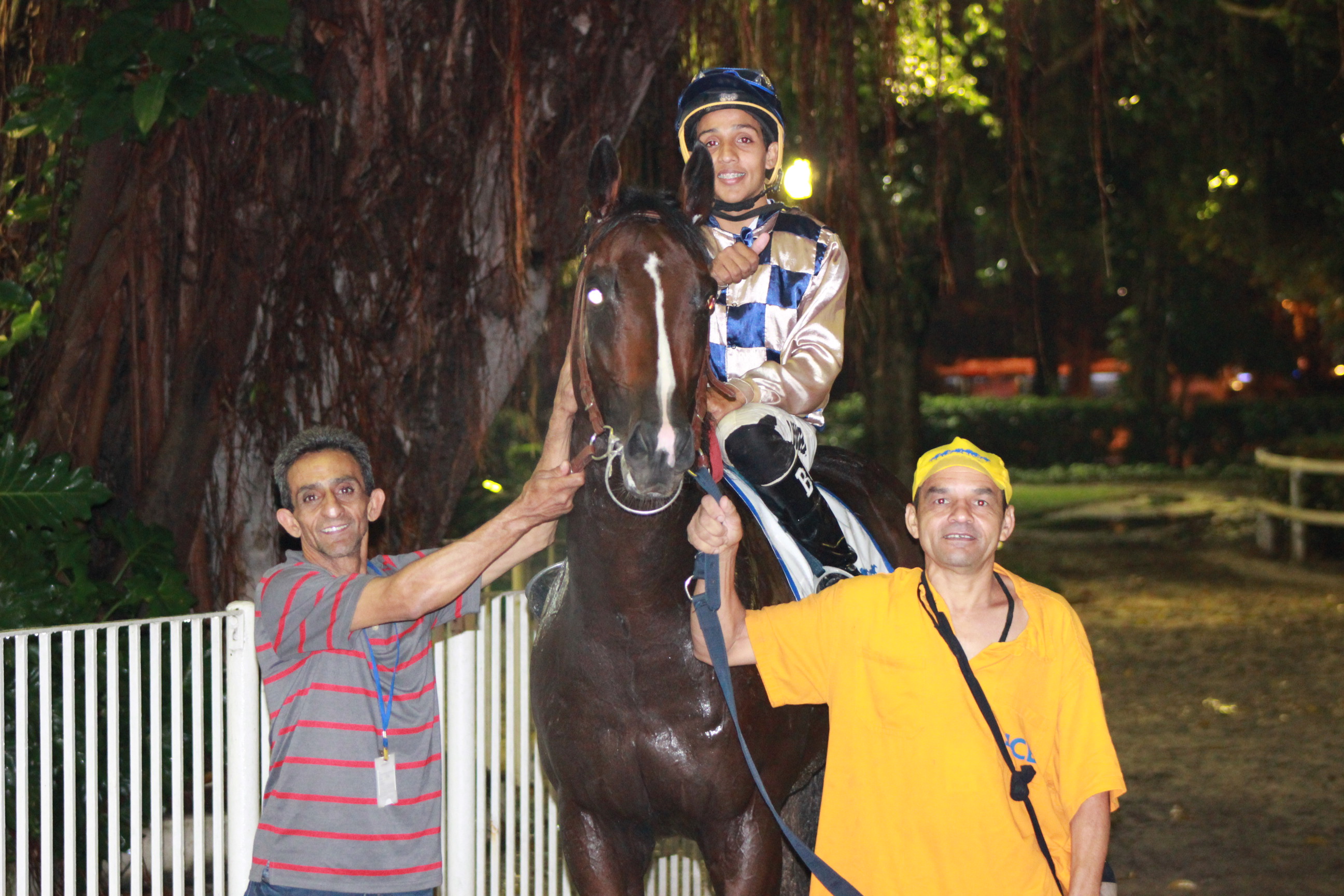B.QUEIROZ, PAI E CAVALARIcO