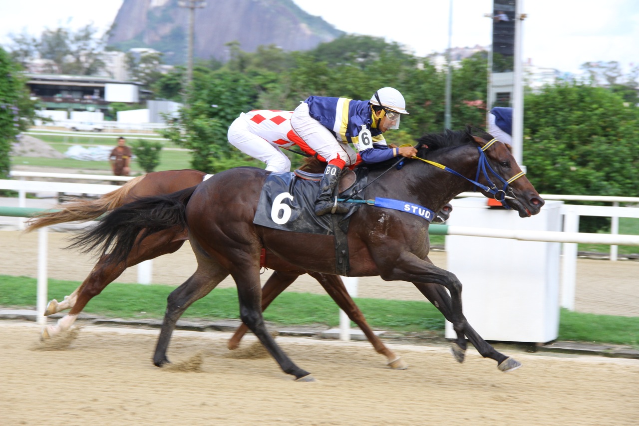 Energetic Chegada 3