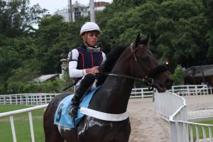 FERA VELOZ VOLTA DO ANIMAL