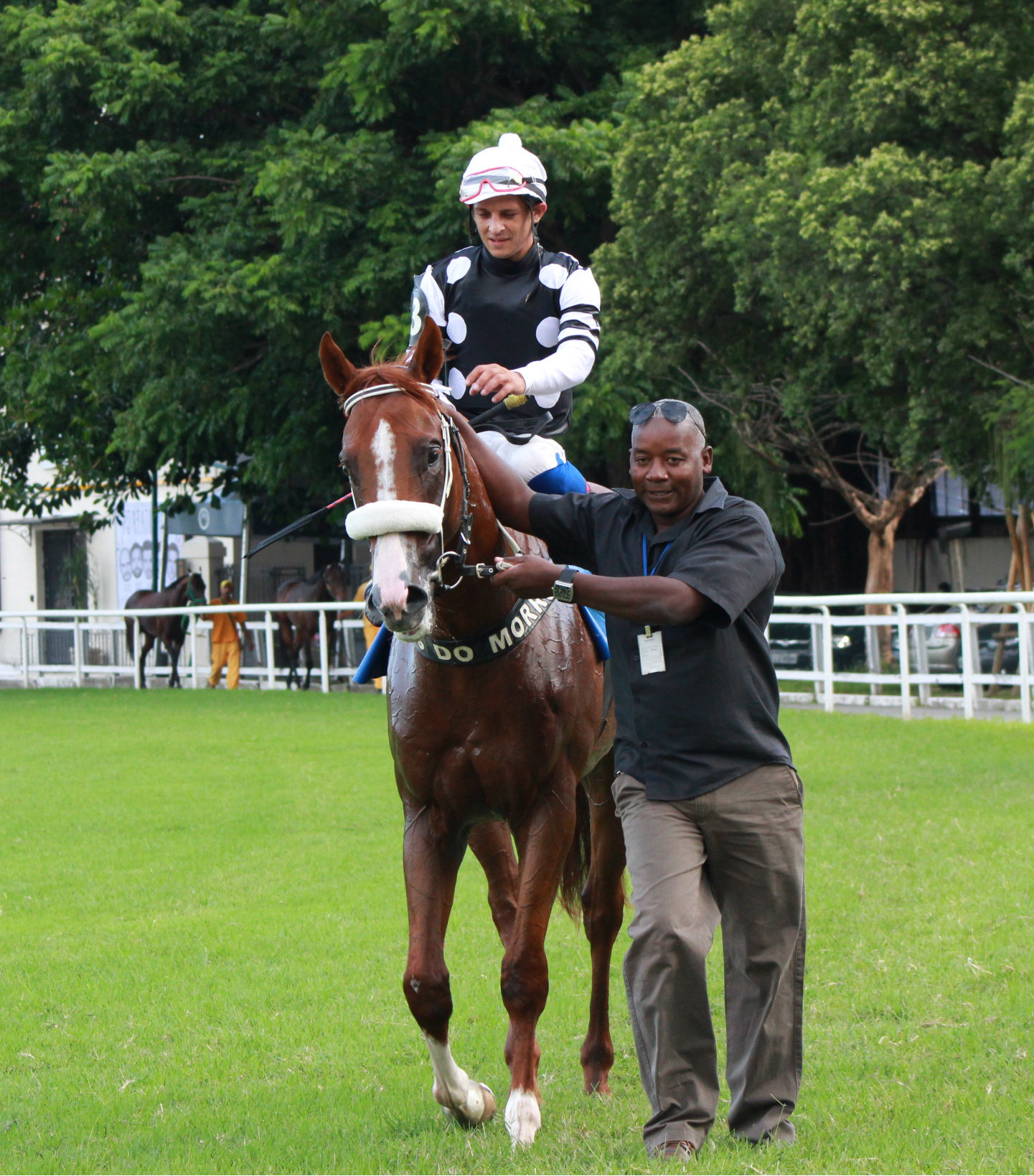 GARBO TALKS VOLTA DO ANIMAL COM O TREINADOR (1)
