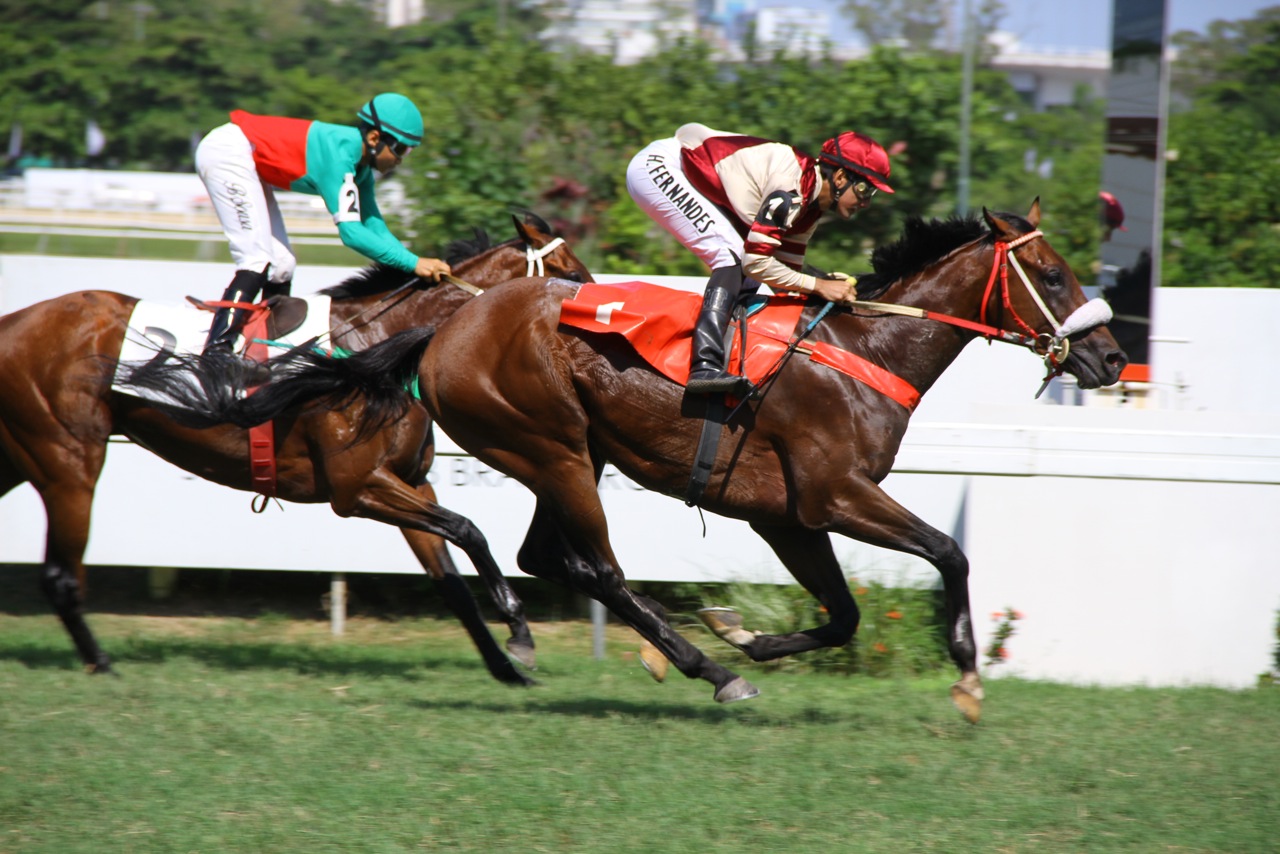 Hunter Chegada 3