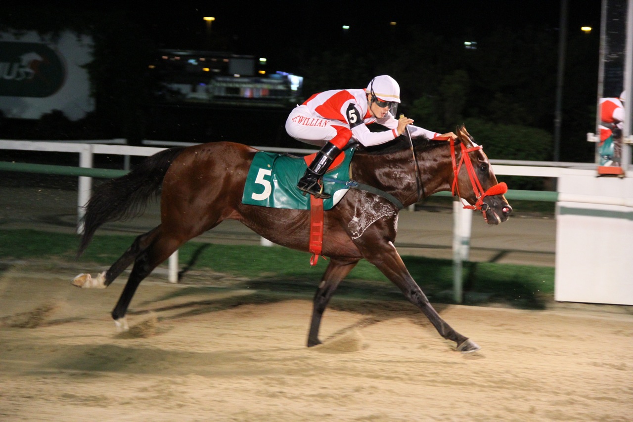 Red Rock Pepper Chegada 3