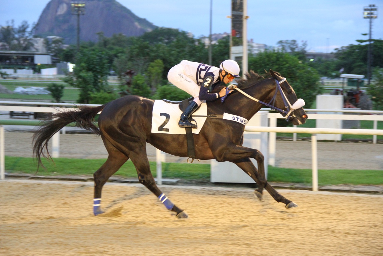 Tom Maior Chegada 3