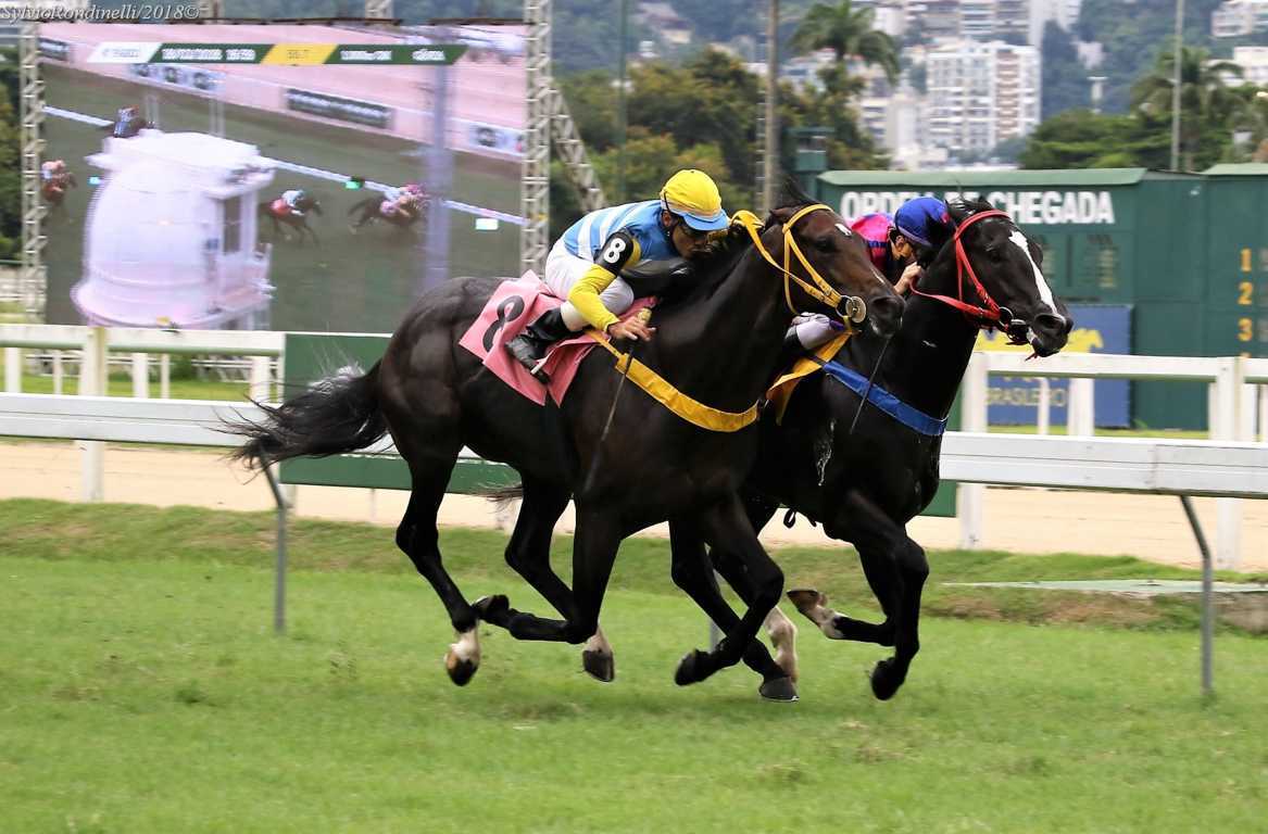 reuniao18022018 (39)