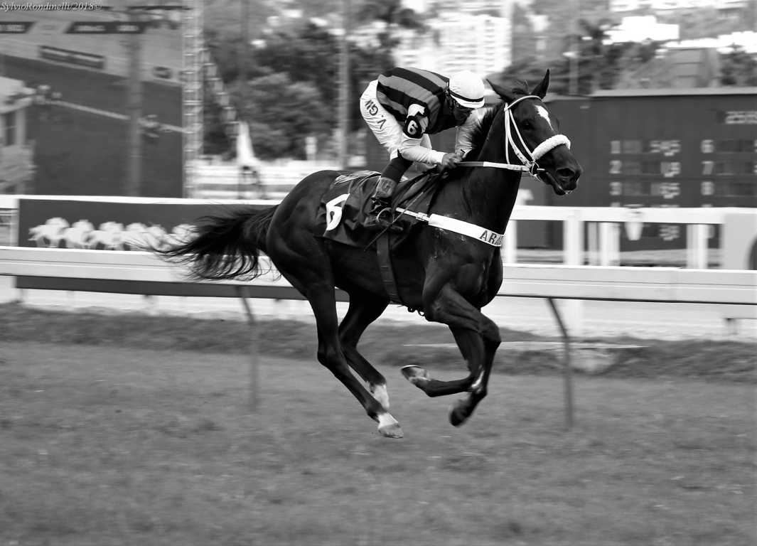 reuniao28012018-27