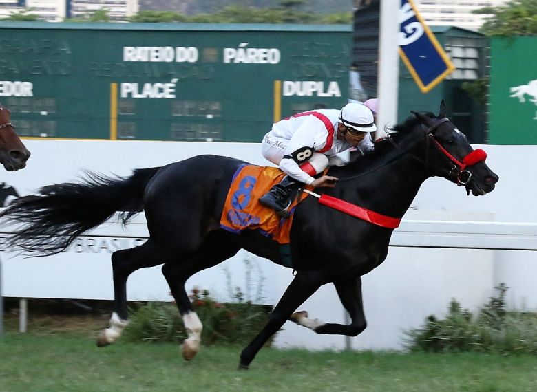 Arrochacapa02