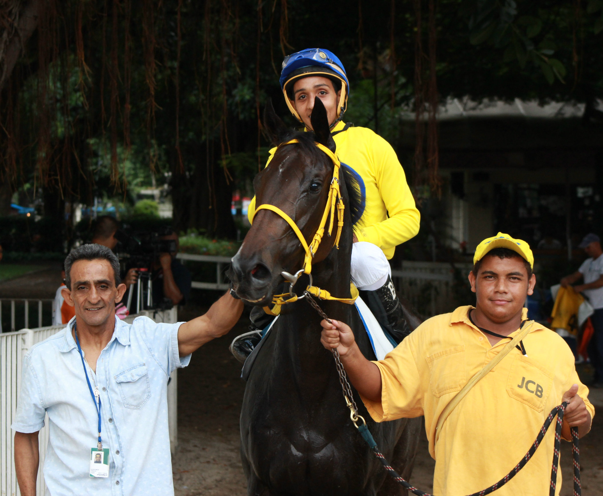 B.QUEIROZ, PAI E CAVALARIcO