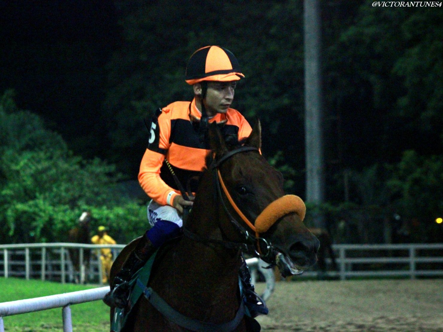 DON ARLINDO VOLTA DO ANIMAL