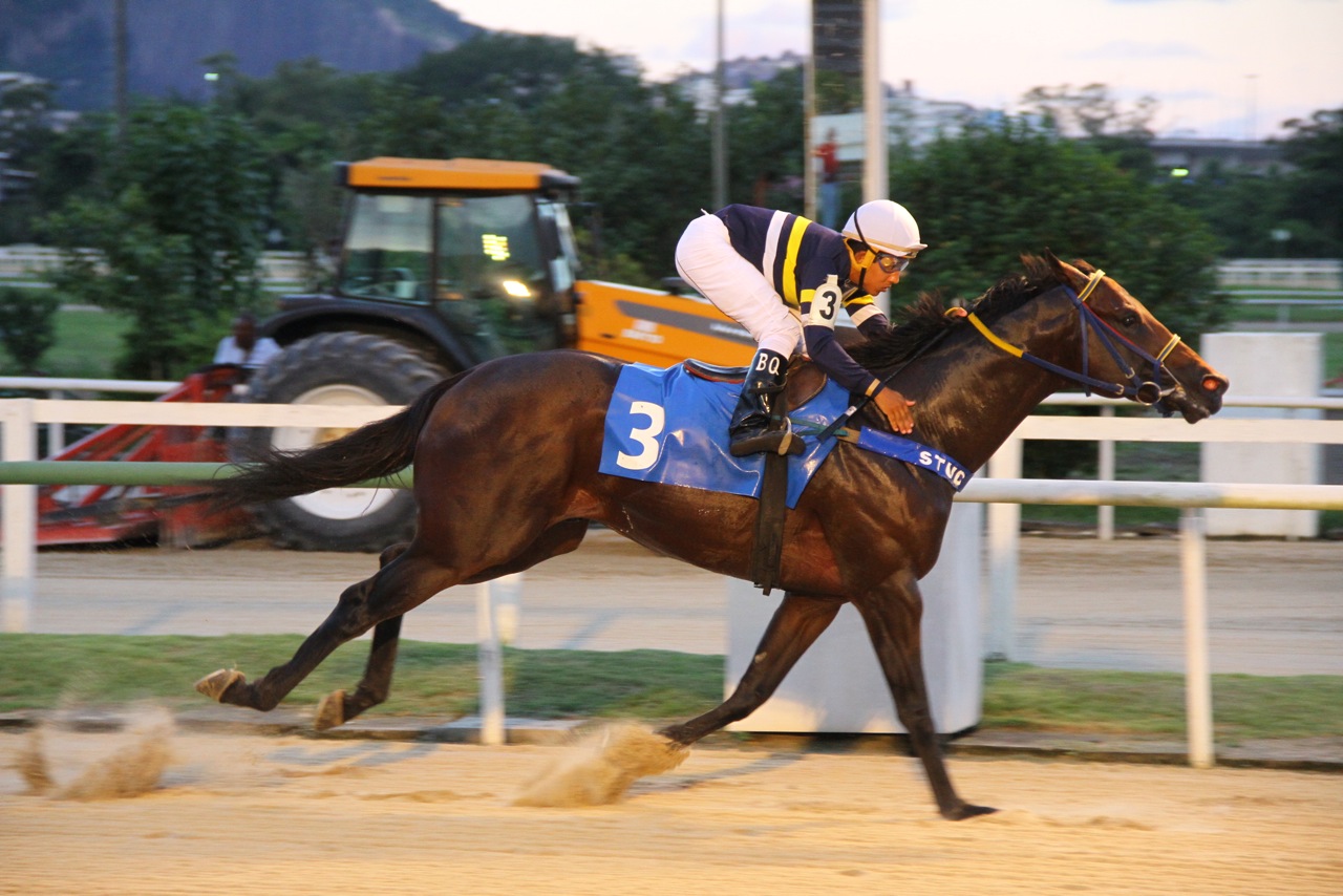 Energetic Chegada 3