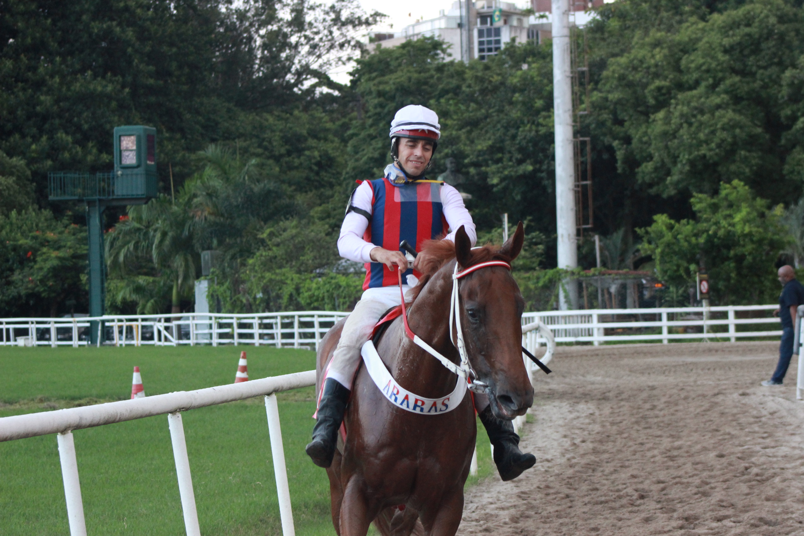 FAR MORE CLASS VOLTA DO ANIMAL