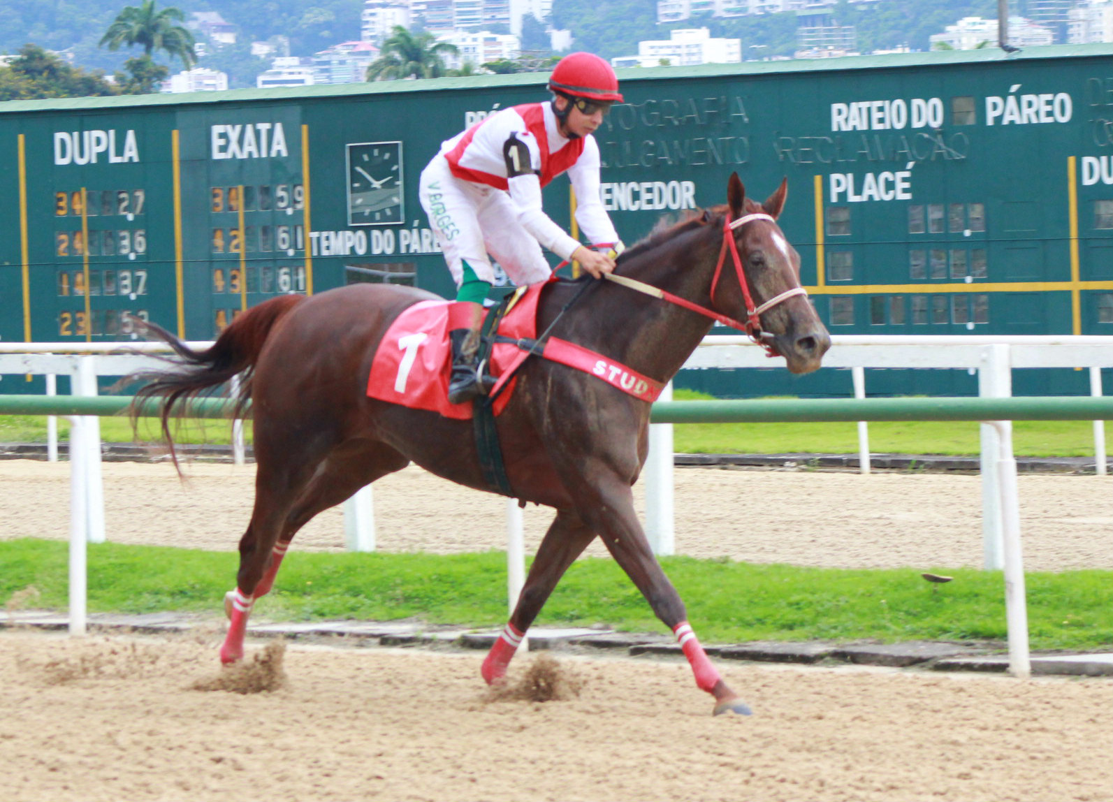 HARSTED CHEGADA