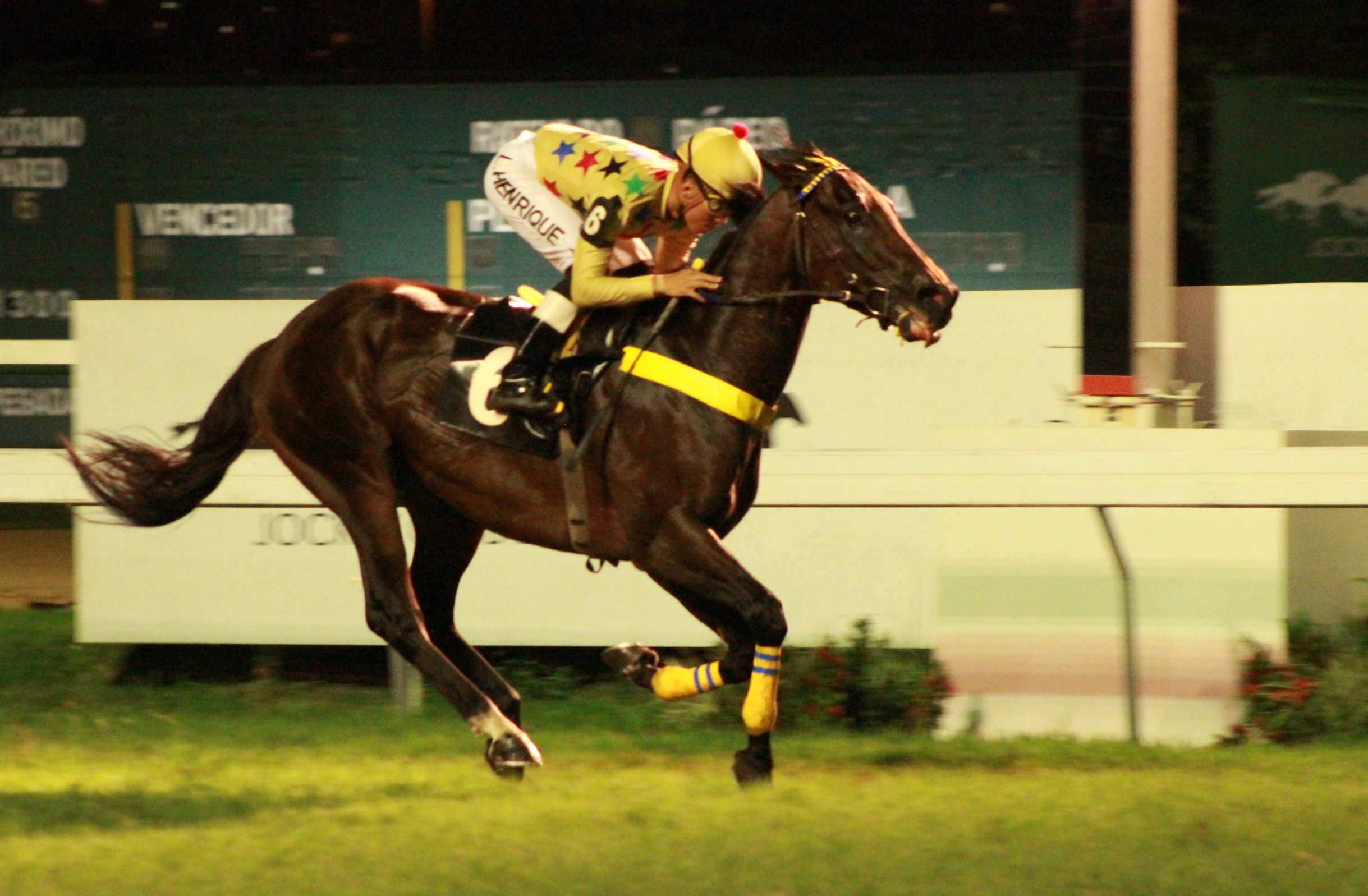 HOSKINS CHEGADA
