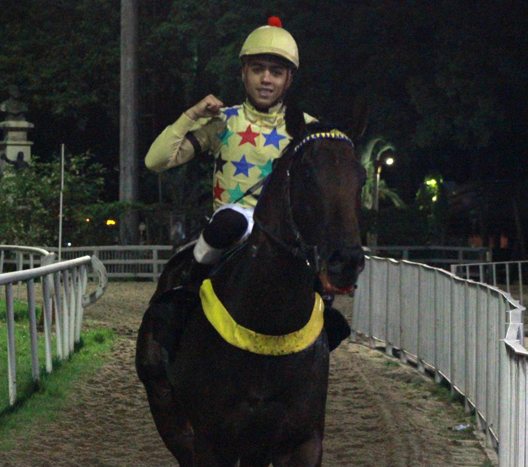 HOSKINS VOLTA DO ANIMAL