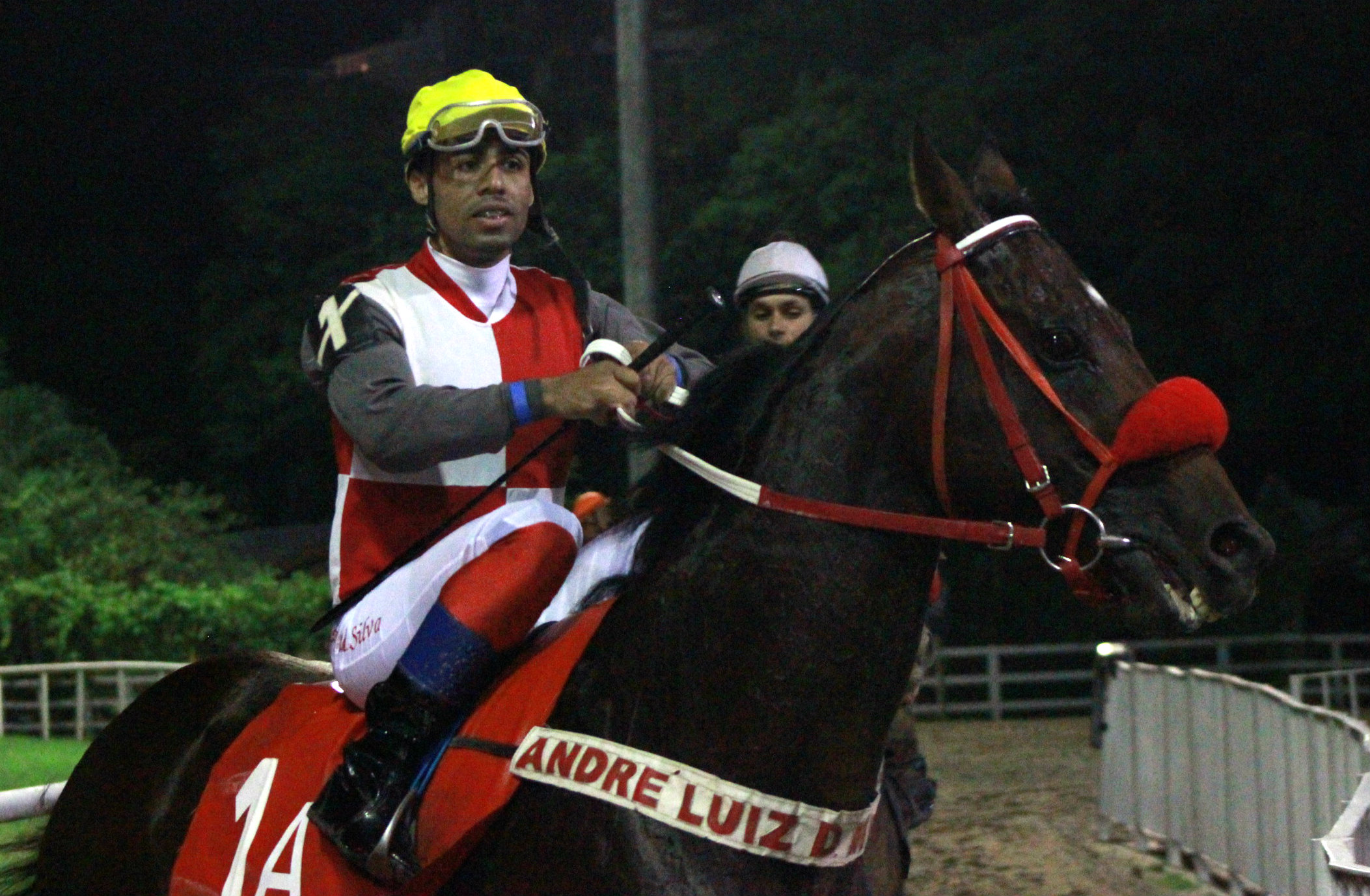 JERONIMO VOLTA DO ANIMAL
