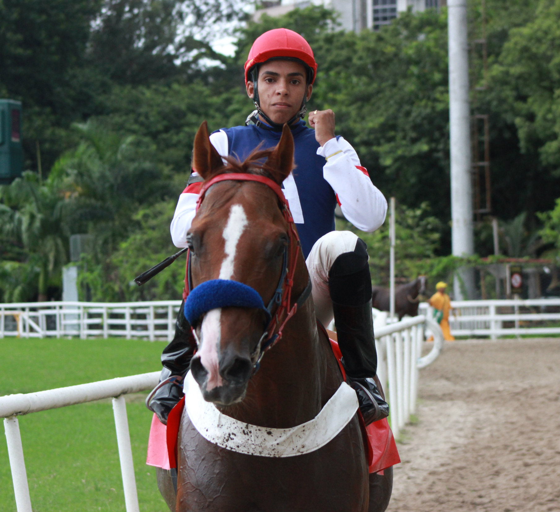 JOAO AMIGAO VOLTA DO ANIMAL