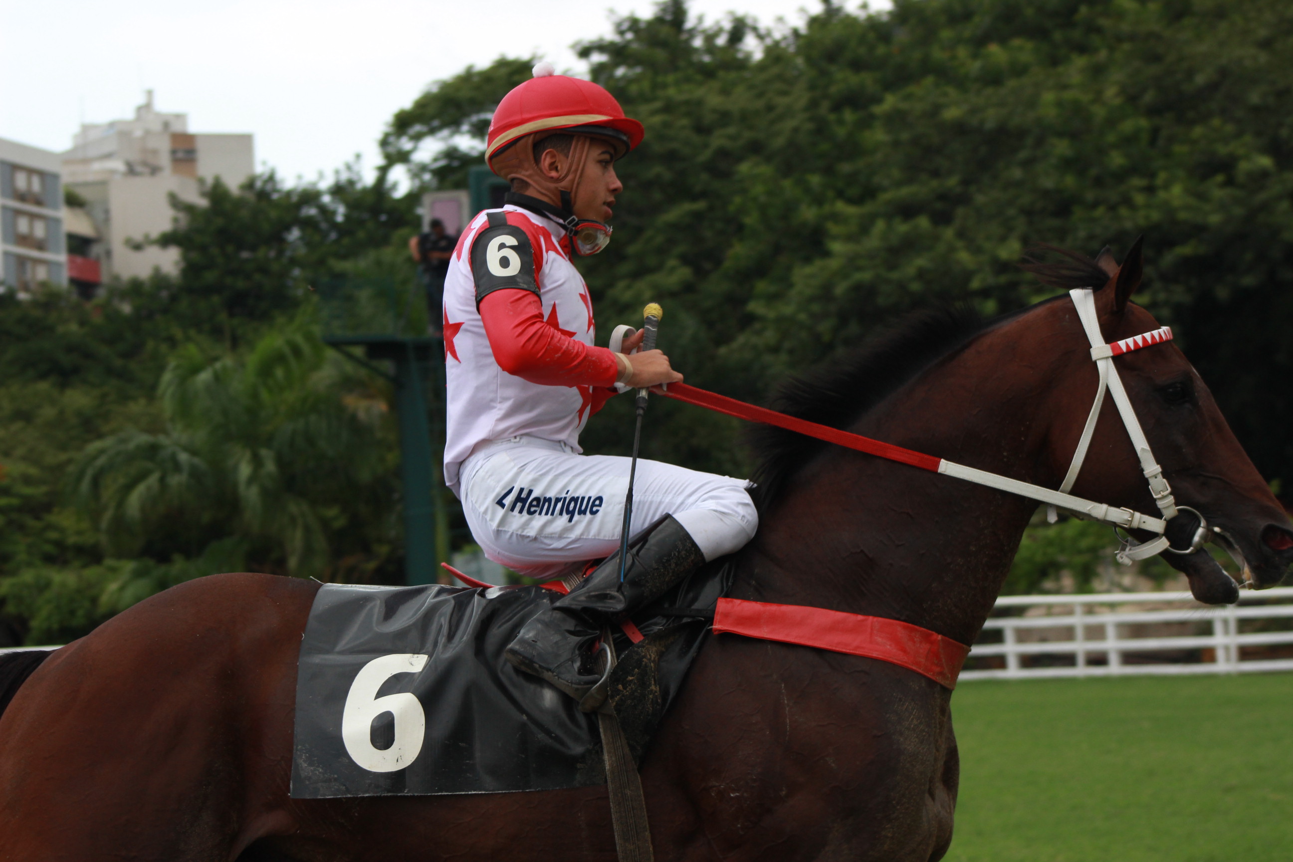 KABULAW VOLTA DO ANIMAL