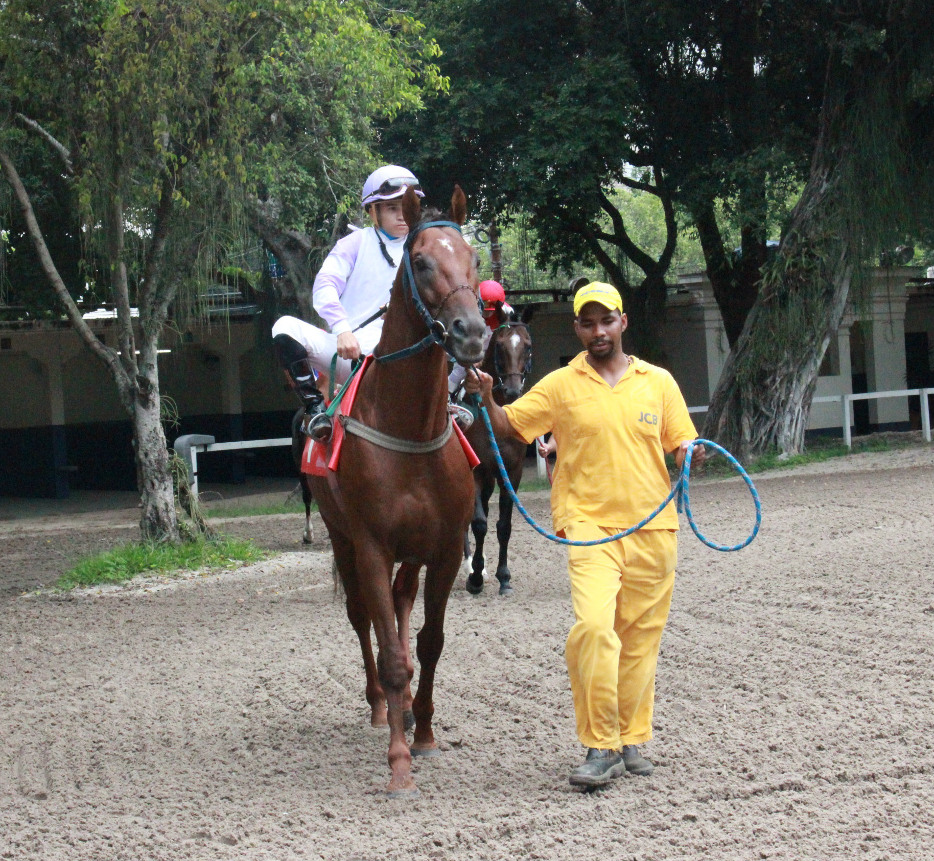 L.F.HENRIQUES (2)