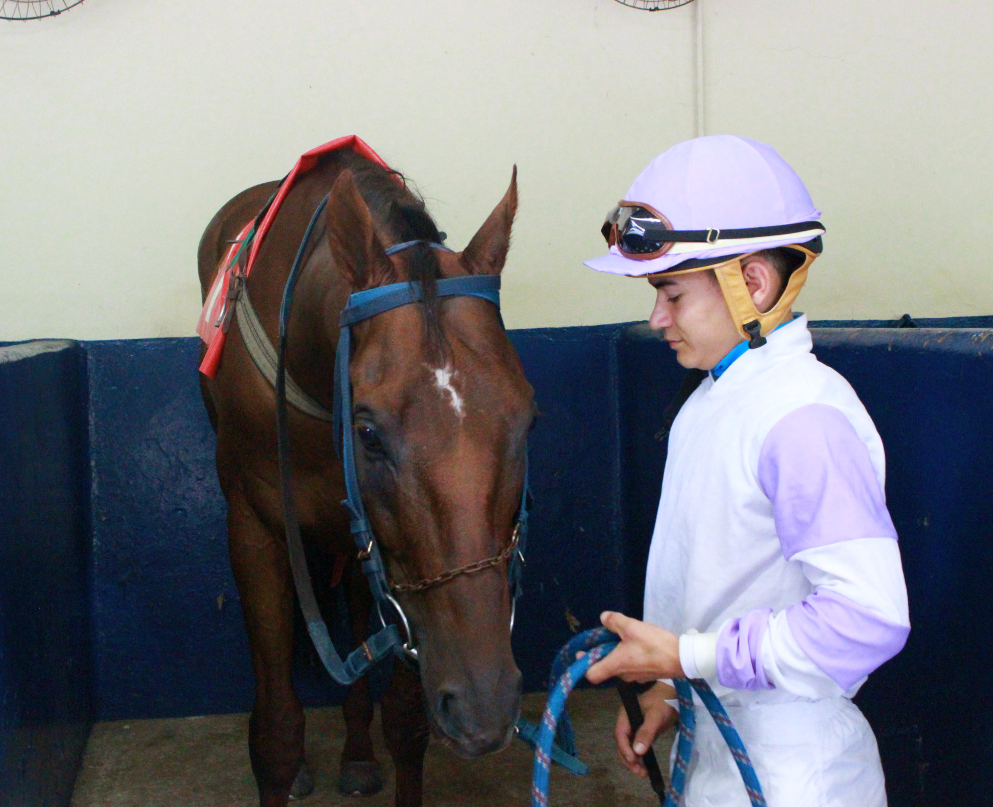 L.F.HENRIQUES E CAVALO