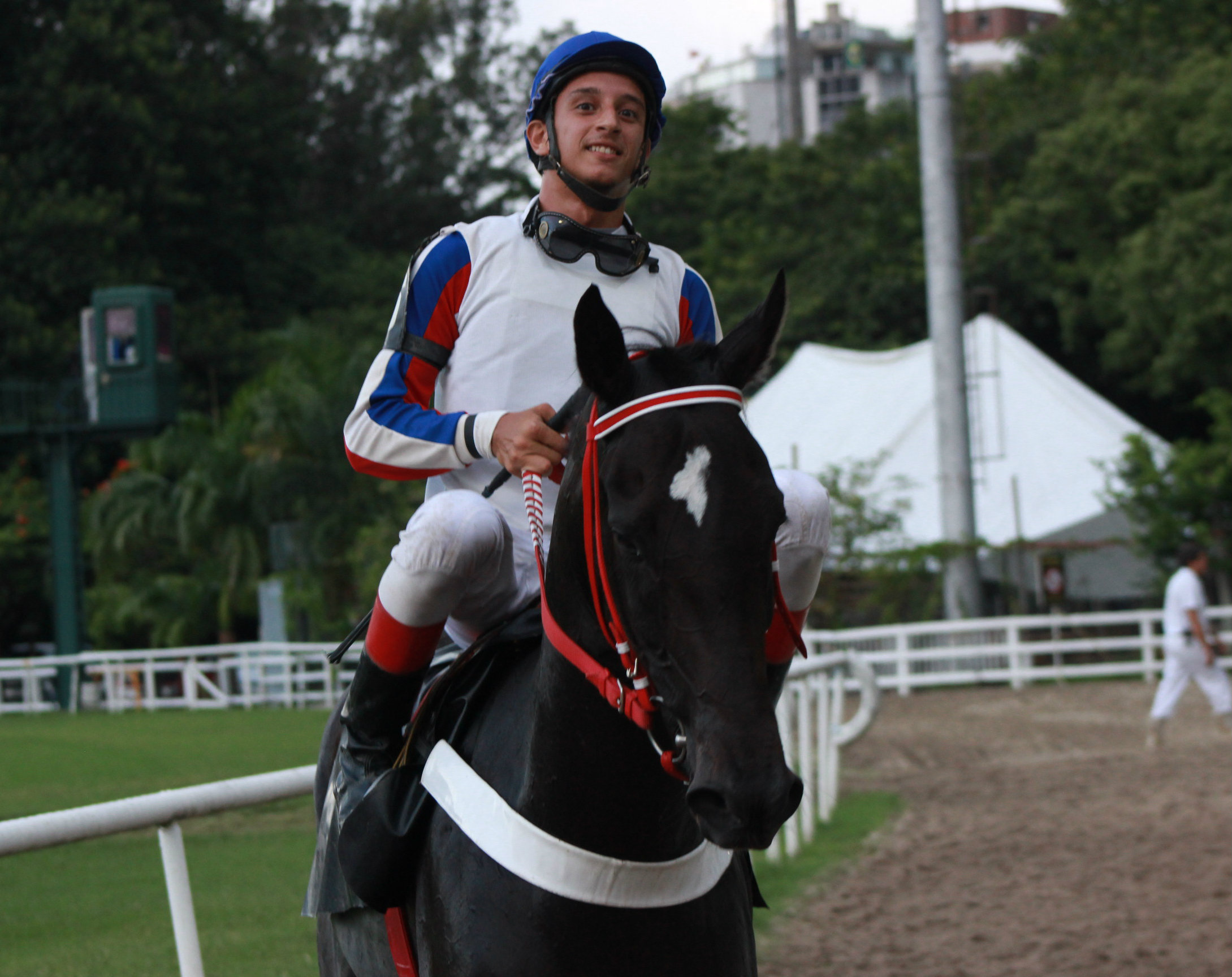 LIZA LOU VOLTA DO ANIMAL