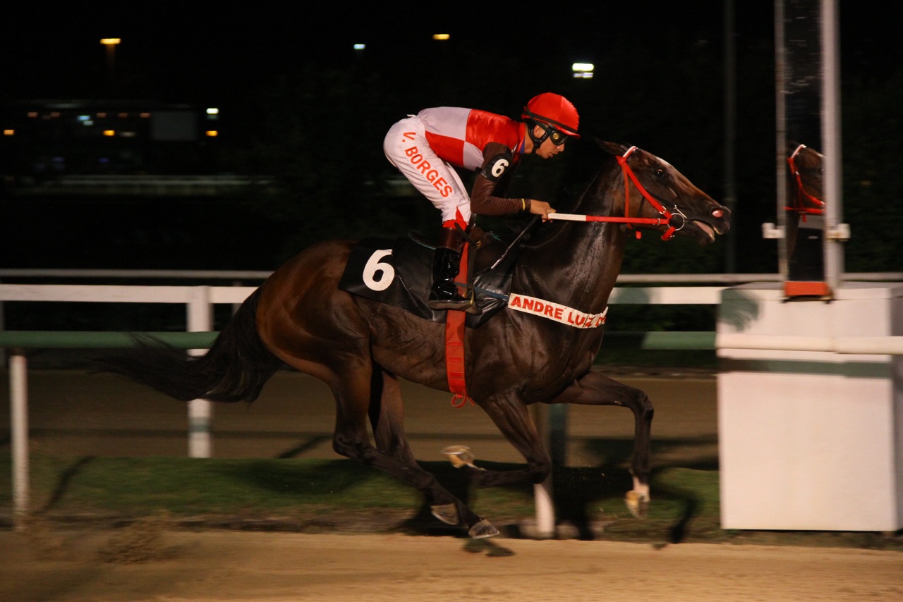 Maratonia Chegada 3