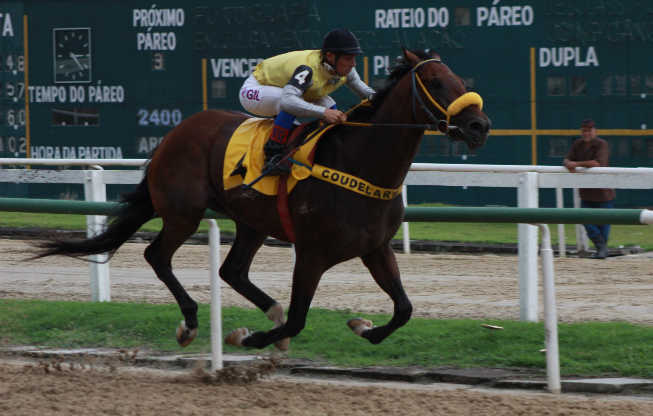 NATURAL CHAMPION CHEGADA