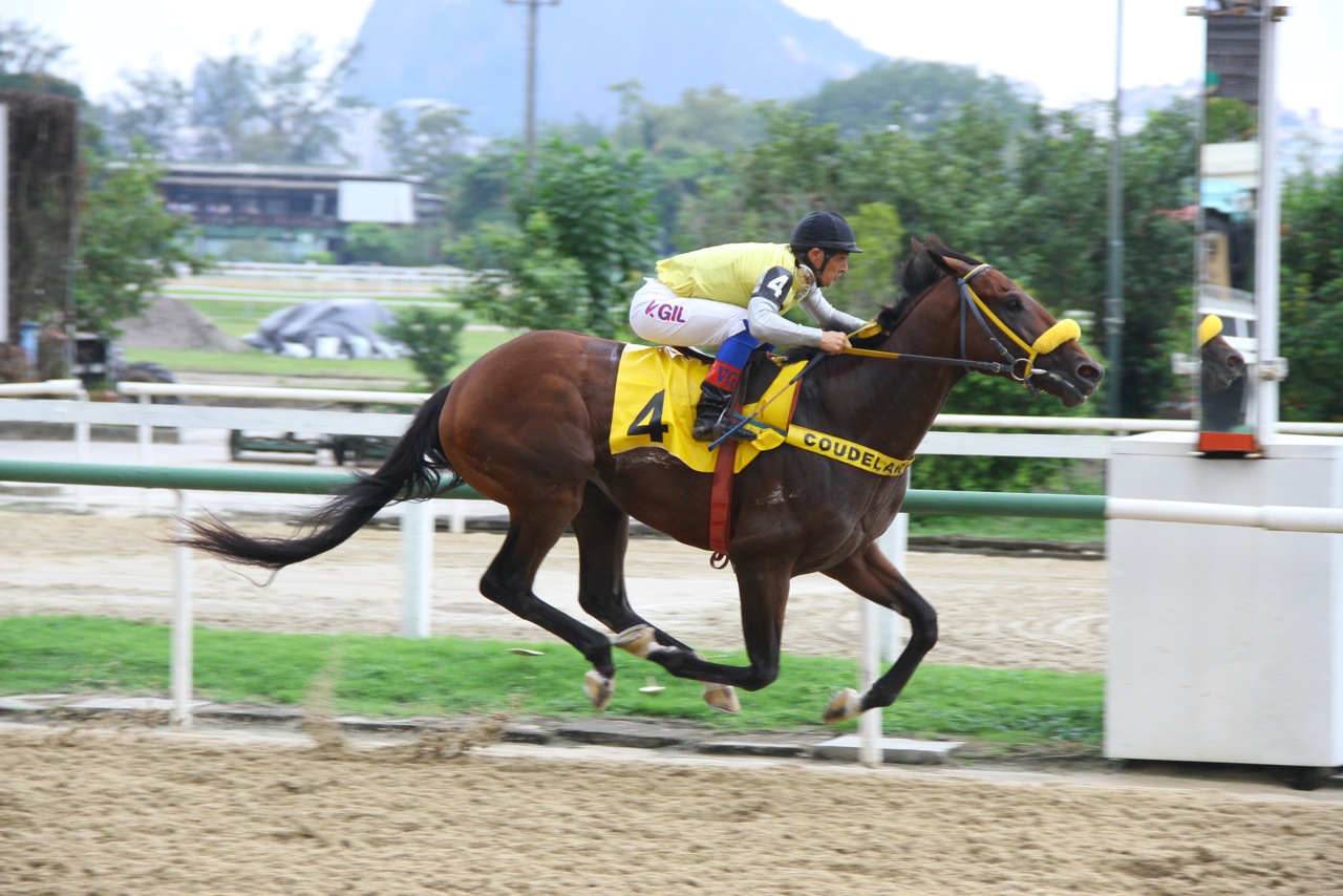 Natural Champion Chegada 3
