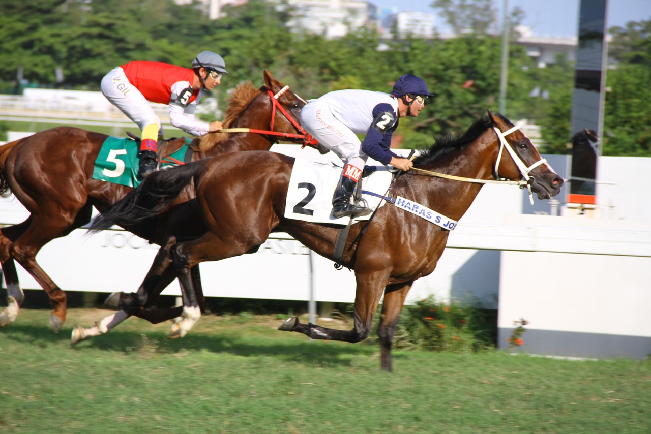 Olimpo Chegada 3