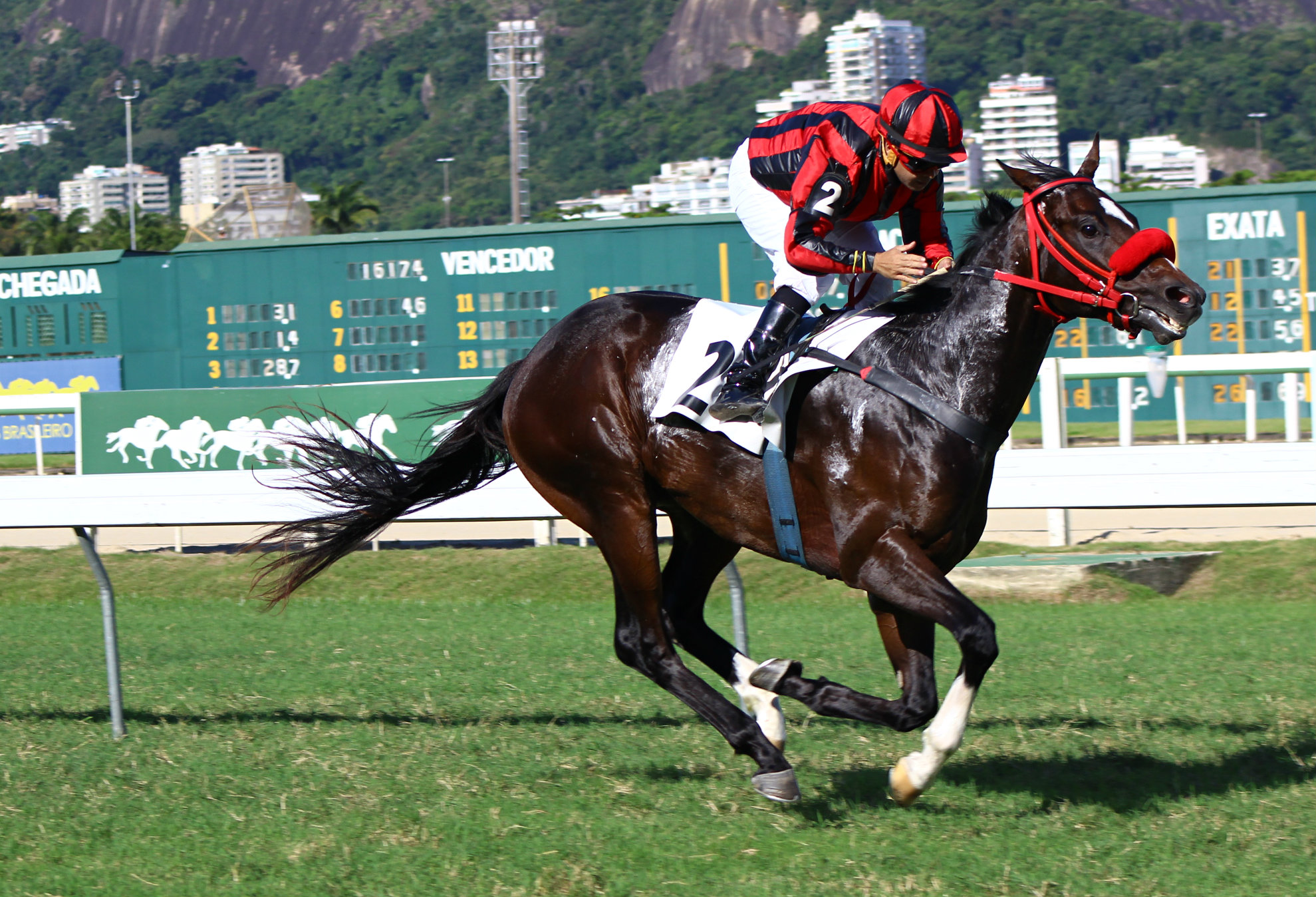 Olympic Iswich chegada (1)