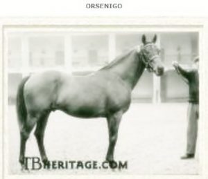 Orsenigo1