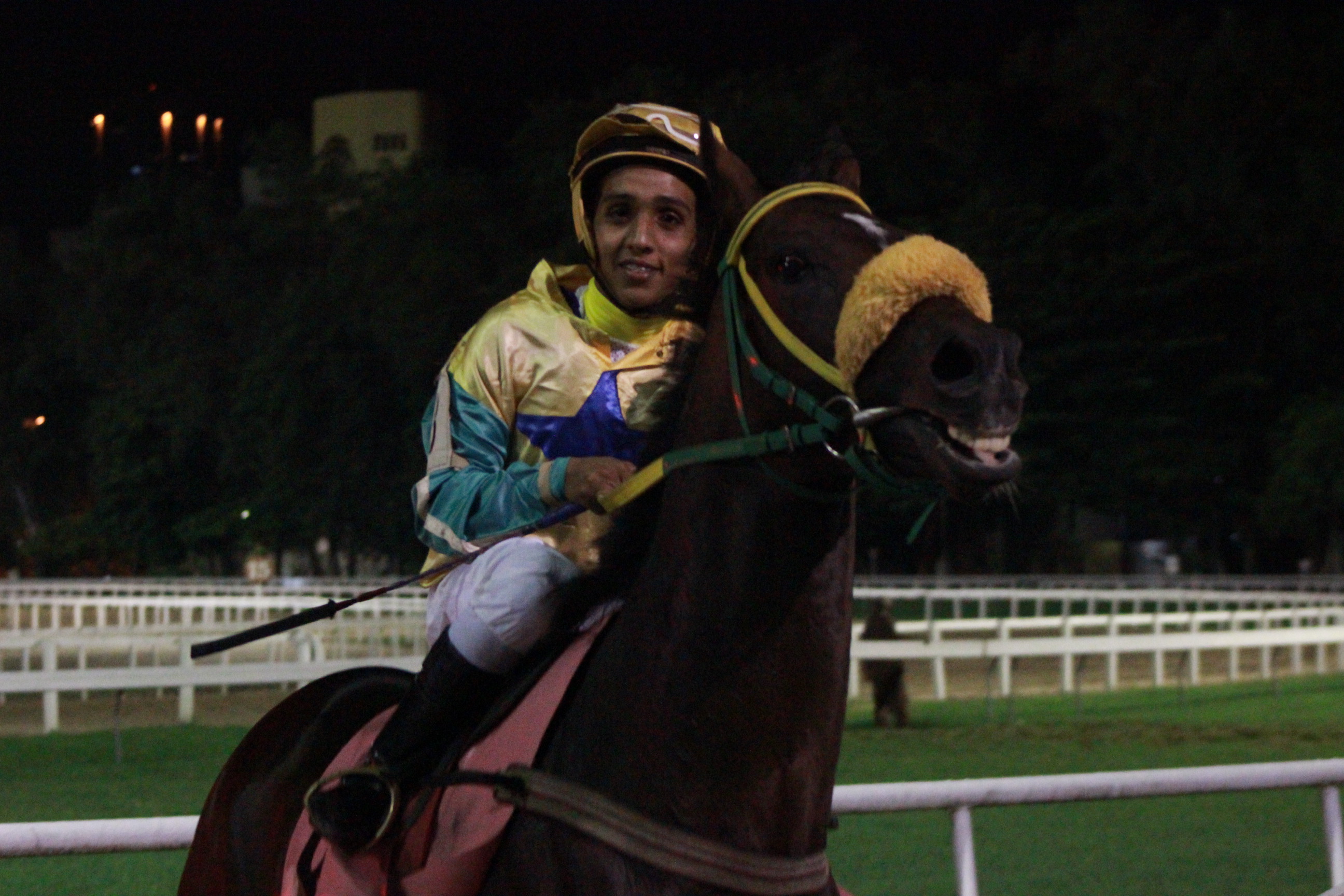 POWER ON VOLTA DO ANIMAL