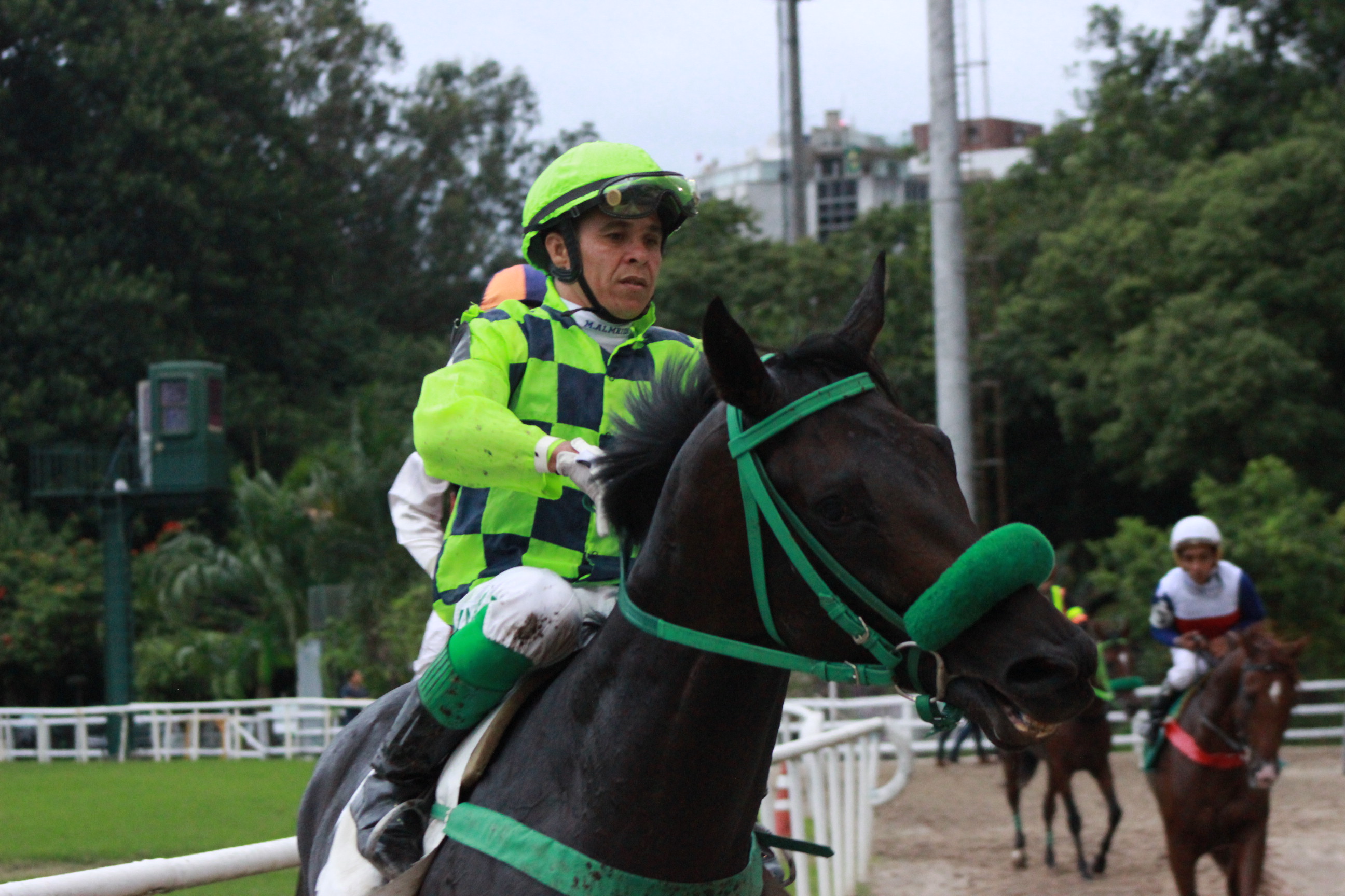 QUIRON VOLTA DO ANIMAL