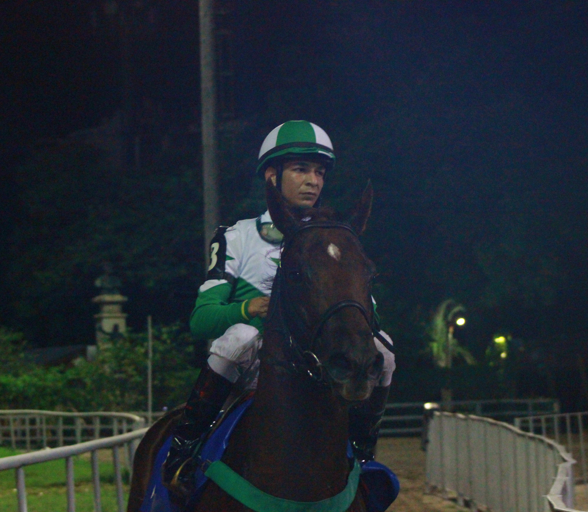 REGAL HIPNOS VOLTA DO ANIMAL